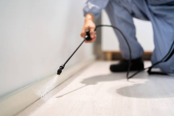 Licensed Termite Control service in Advance, NC - Nex Pest Control