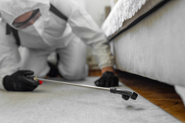 Professional Termite Control technician working in Advance, NC