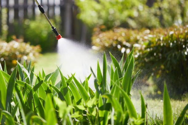 24/7 Emergency Termite Control experts in Advance, NC